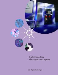 Agilent capillary electrophoresis system