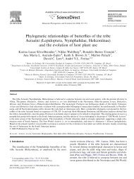 Phylogenetic relationships of butterflies of the tribe Acraeini ...