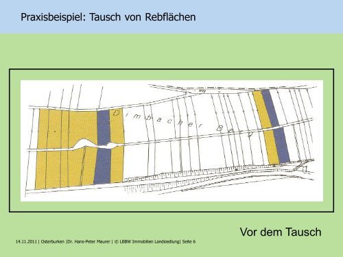 Freiwilliger Landtausch und Zusammenlegungen im Wald