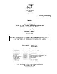 microstructure, deformation et endommagement d'un revetement de ...