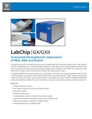 LabChip |GX/GXII