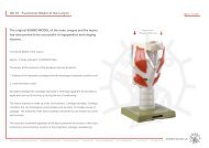 GS 10 Â· Functional Model of the Larynx The original SOMSO MODEL ...