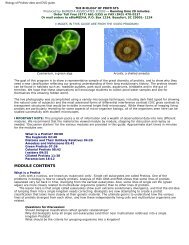 Biology of Protists video and DVD guide. - ECB