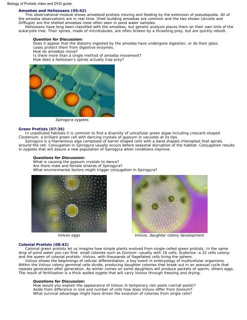 Biology of Protists video and DVD guide. - ECB