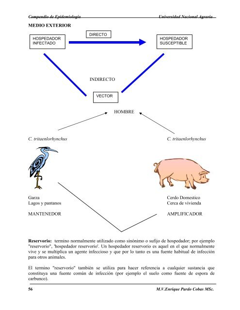 compendio de epidemiologia - Centro Nacional de InformaciÃ³n y ...