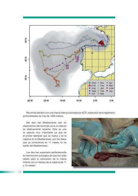 INFORME CIENTIFICO.indd - ConfederaciÃ³n EspaÃ±ola de Pesca ...