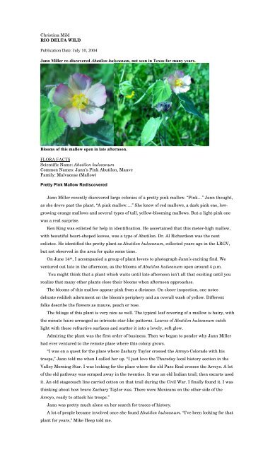 Abutilon hulseanum.pdf - Christina Mild's "Rio Delta Wild"