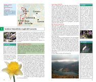 Appennino genovese p.2 - Ambiente in Liguria