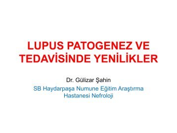 Lupus Patogenez Ve Tedavisinde Yenilikler