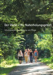 Der Wald – Ihr Naherholungsgebiet