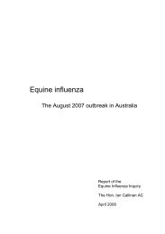 Equine Influenza Inquiry - Horse Deals