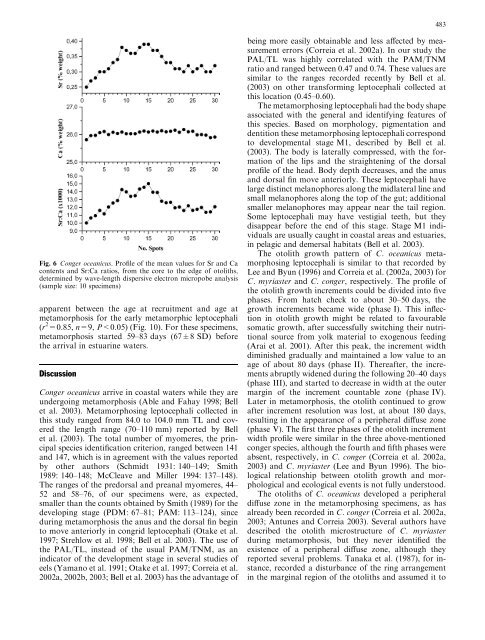 Early life history of the American conger eel ... - ResearchGate