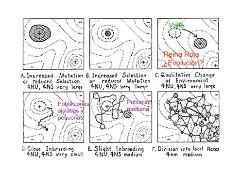 Topología adaptativa