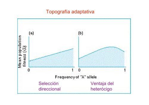 Topología adaptativa