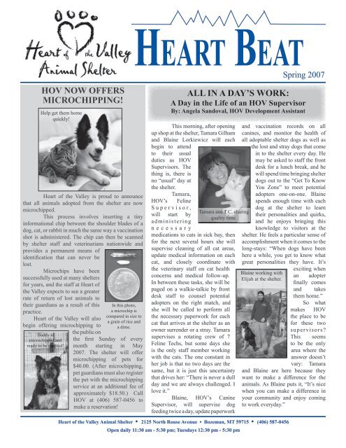 in a day's work - Heart of the Valley Animal Shelter in a day's work - Heart of the Valley Animal Shelter