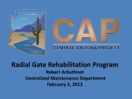 Radial Gate Rehabilitation