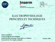 Diapositives du cours sur Powerpoint ... - IPMC - CNRS