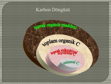 Karbon