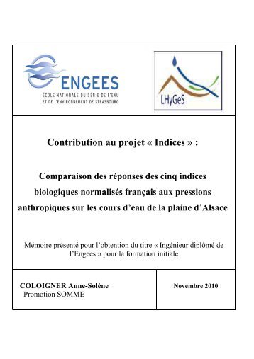 PDF (Rapport) - ENGEES - UniversitÃ© de Strasbourg