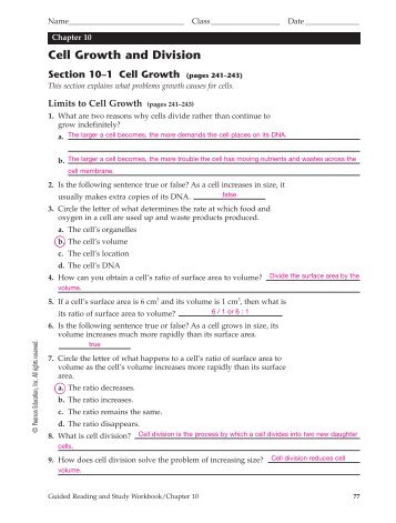 Ch.10 Guided Reading Answers
