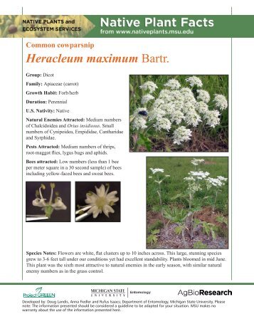 Developed by: Doug Landis, Anna Fiedler and Rufus - Native Plants ...