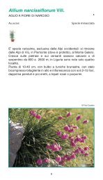 Valori e raritÃ  della flora ligure - Ambiente in Liguria