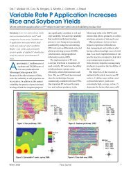 Variable Rate P Application Increases Rice and Soybean Yields