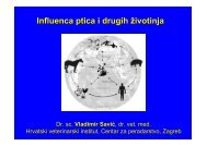 Influenca ptica i drugih vrsta Å¾ivotinja, V. SaviÄ