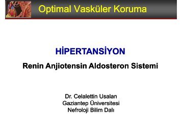 Renin Anjiotensin Aldosteron Sistemi