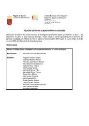 RELACION DEFINITIVA BECAS TECNOLOGO Y TEC ... - imida