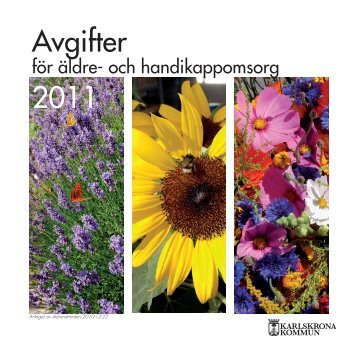 Avgifter 2011 - Karlskrona kommun