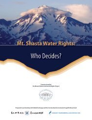 Mt Shasta Water Rights: WHO DECIDES? - The Community ...