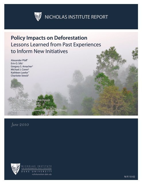 Policy Impacts on Deforestation Lessons Learned ... - The REDD Desk