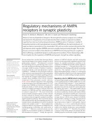 Regulatory mechanisms of AMPA receptors in synaptic plasticity