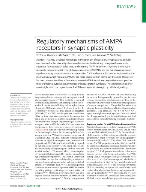 Regulatory mechanisms of AMPA receptors in synaptic plasticity