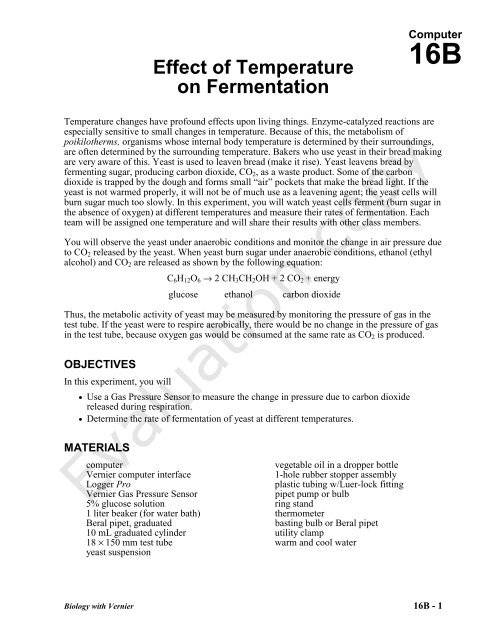 rate of fermentation of yeast experiment
