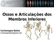 Ossos e ArticulaÃ§Ãµes dos Membros Inferiores