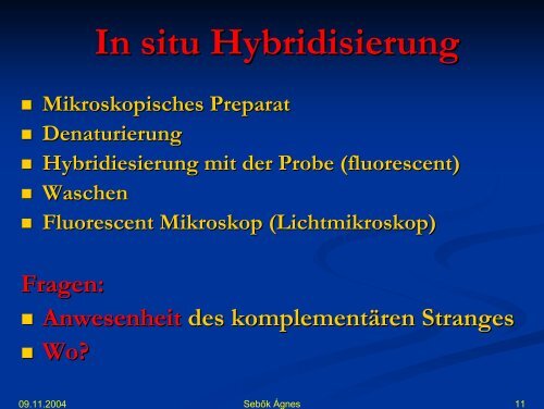 DNA synthese