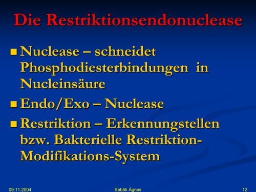 DNA synthese