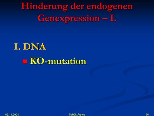 DNA synthese