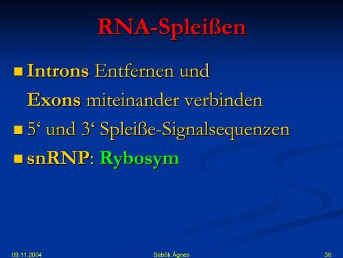 DNA synthese