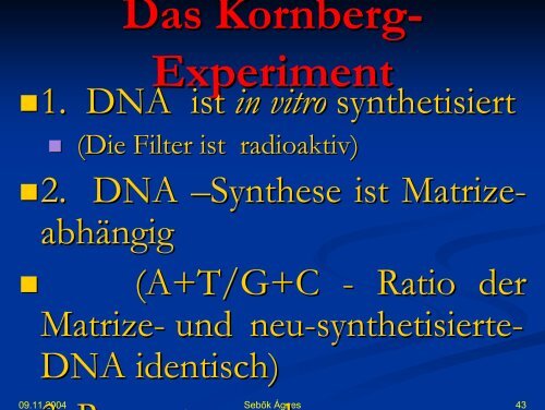 DNA synthese