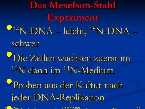 DNA synthese