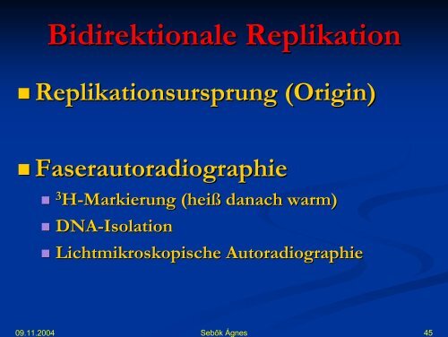 DNA synthese