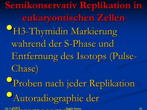 DNA synthese