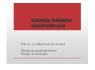 2012 anatomija, fiziologijs i biomehanika pasa - HKS-a