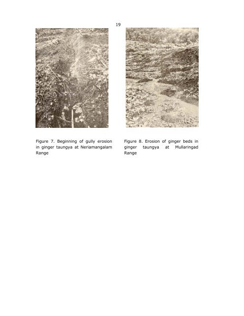 taungya in relation to soil properties soil erosion and soil management