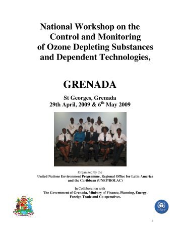 Workshop Report - Computer Information Systems Grenada