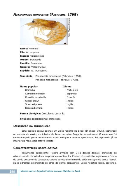 Visualizar - MinistÃƒÂ©rio do Meio Ambiente