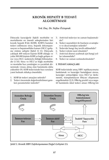 Kronik Hepatit B Tedavi AlgoritmasÄ± - VHSD